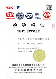 金属全封闭气体绝缘环网开关设备 SRM□-12(V)/630-20